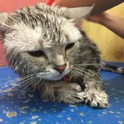 酷迪(御河湾店):北京城区海淀区航天桥附近