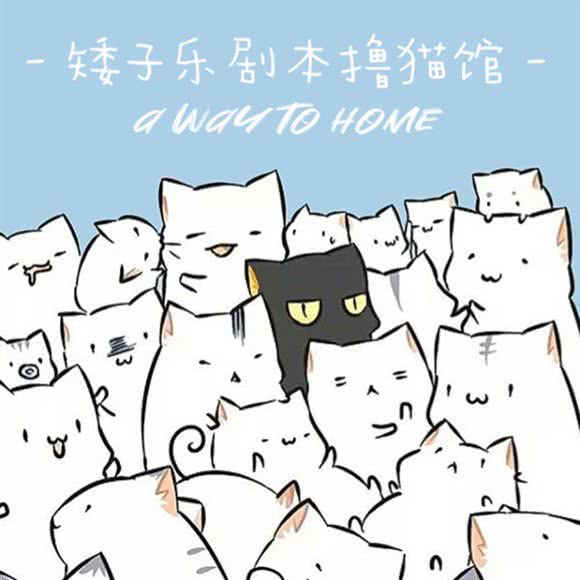 矮子乐剧本杀撸猫馆:上海城区杨浦区五角场/大学区附近