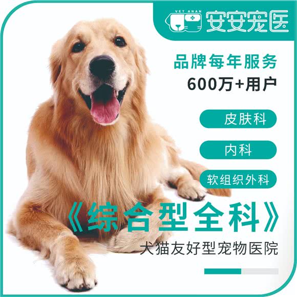 安安宠医狂犬免疫点(东巨分院):上海城区杨浦区五角场/大学区附近