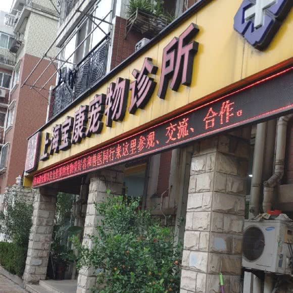 宝康宠物诊所(政立路店):上海城区杨浦区五角场/大学区附近