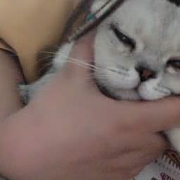 PETKIT小佩宠物(民京店):上海城区杨浦区中原地区附近