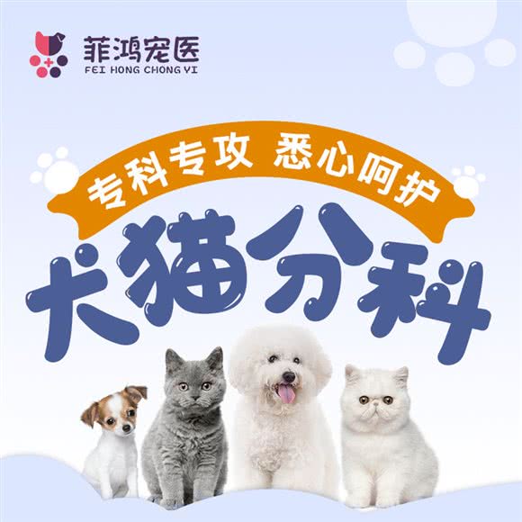 菲鸿宠物诊疗中心·24H综合性医院·猫友好医院(市光路133广场店):上海城区杨浦区中原地区附近