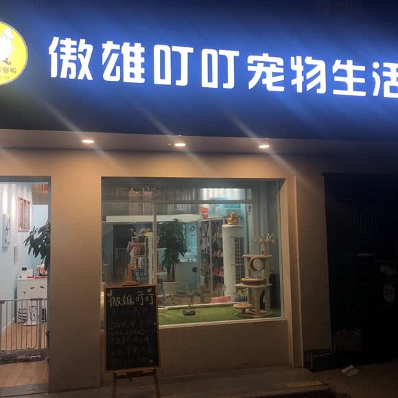 傲雄叮叮宠物生活馆(控江路店):上海城区杨浦区控江地区附近