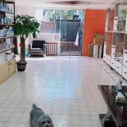 朗仕佳贝宠爱生活馆:上海城区杨浦区控江地区附近