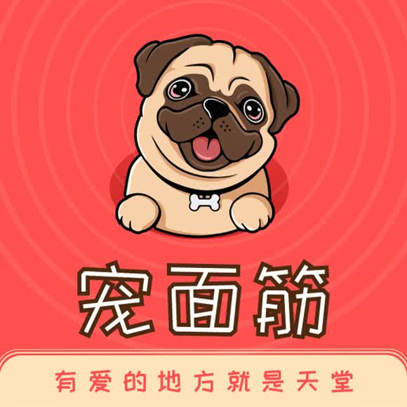 宠面筋宠物店:上海城区杨浦区控江地区附近