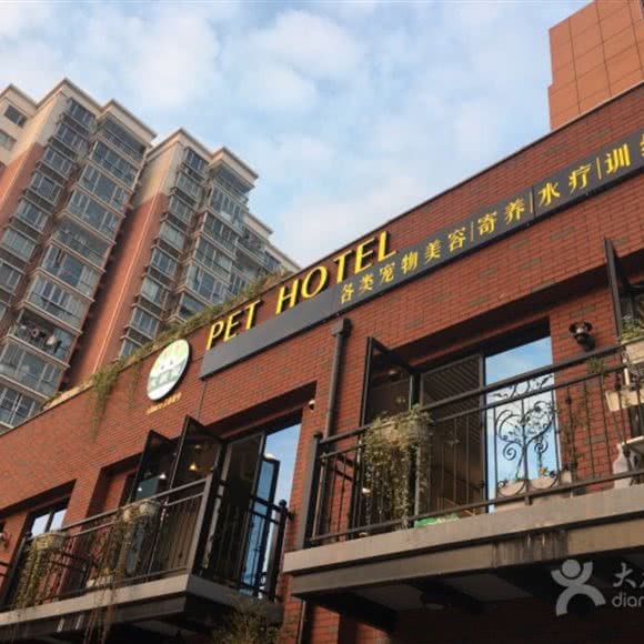 宠星球(杨浦店):上海城区杨浦区控江地区附近