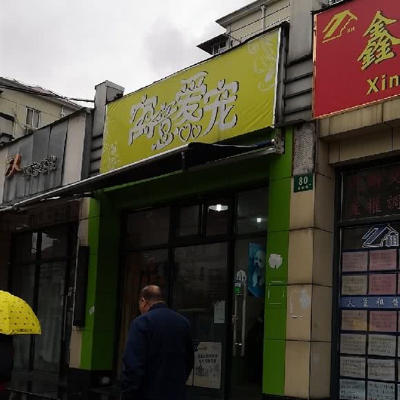 寓意爱宠:上海城区杨浦区控江地区附近