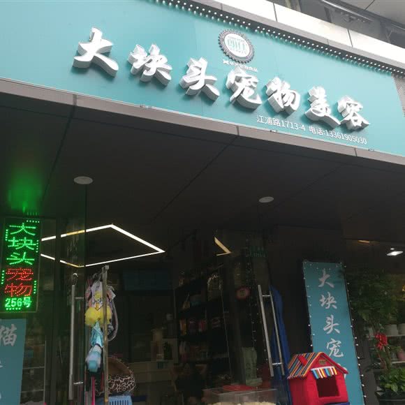 大块头宠物美容:上海城区杨浦区控江地区附近