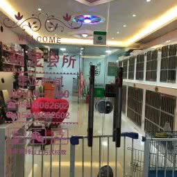萌宠会所:上海城区杨浦区控江地区附近