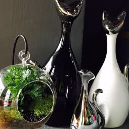 傲雄叮叮宠物美容寄养(江浦店):上海城区杨浦区控江地区附近