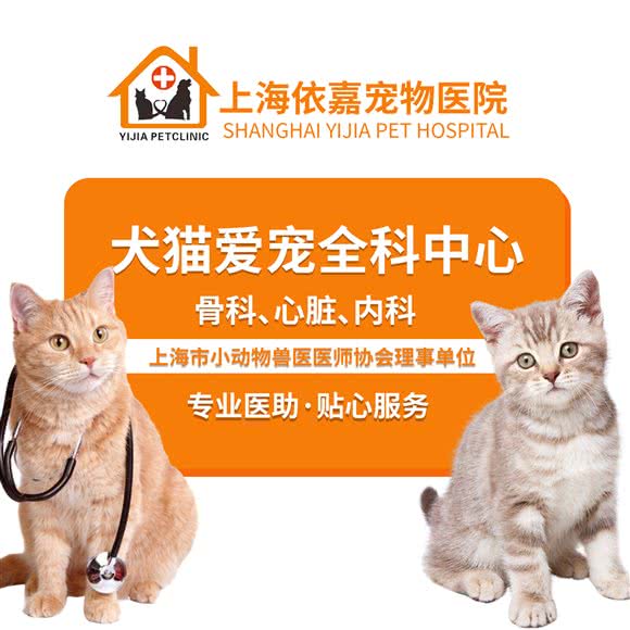 上海依嘉宠物诊疗中心:上海城区杨浦区控江地区附近