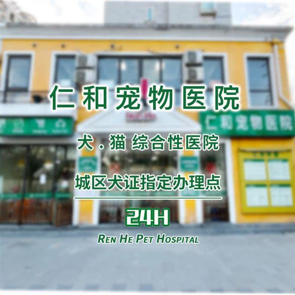 长兴宠物医院:上海城区杨浦区控江地区附近