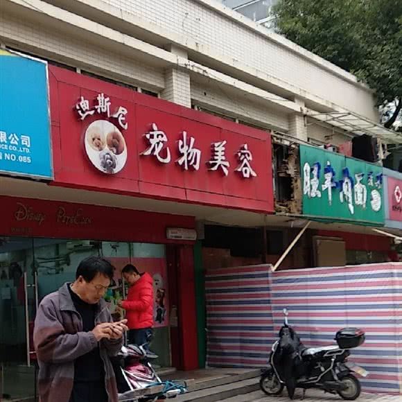 四平迪斯尼宠物美容医院:上海城区杨浦区鞍山新村附近