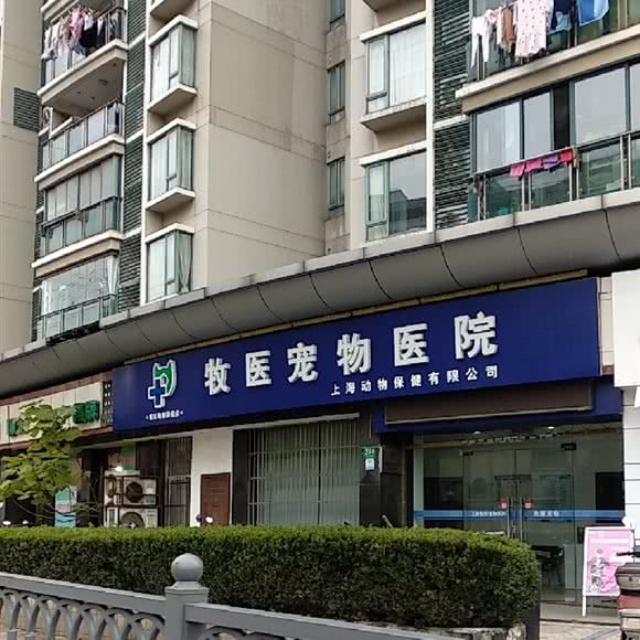 动保牧医宠物医院(杨浦店):上海城区杨浦区鞍山新村附近