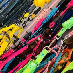 旺旺宠物美容店:上海城区杨浦区平凉路/东外滩附近