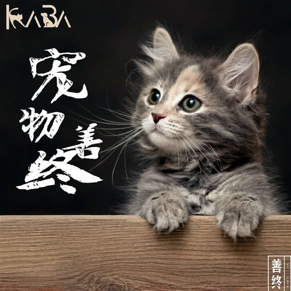 咔吧咔吧宠物殡葬火化:上海城区杨浦区平凉路/东外滩附近