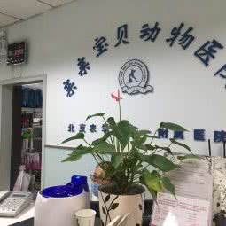 亲亲宝贝宠物医院:北京城区海淀区公主坟/万寿路附近