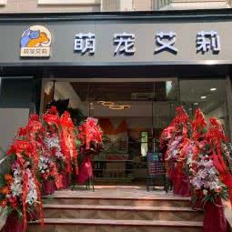 萌宠艾莉(杨浦店):上海城区杨浦区黄兴公园附近