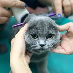 酷迪(西直门志强园店):北京城区海淀区牡丹园/北太平庄附近