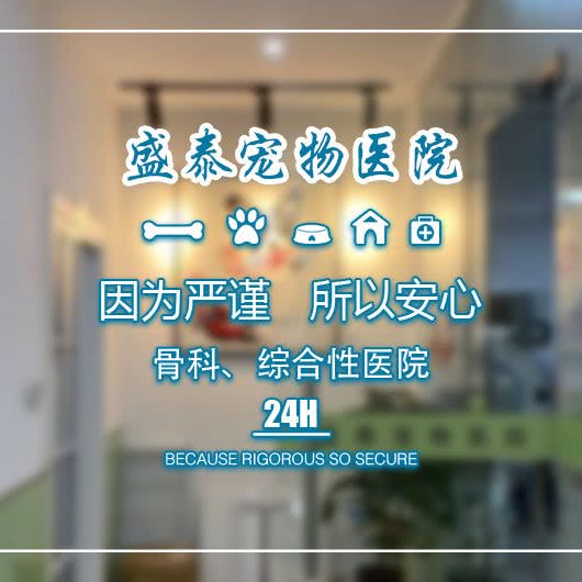 盛泰宠物医院(骨科特色.综合性宠物医院24H):上海城区杨浦区黄兴公园附近