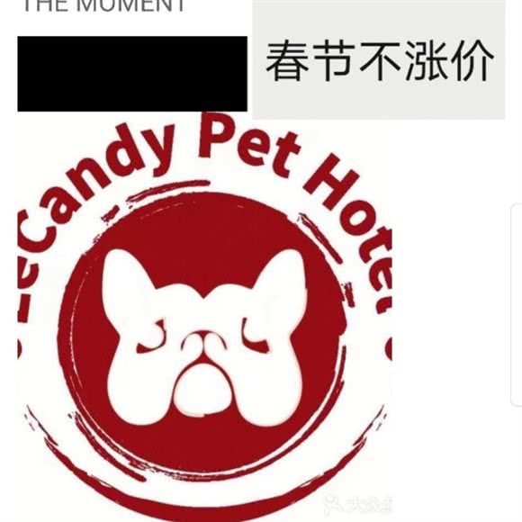 LeCandy宠物酒店Pet Hotel:上海城区杨浦区新江湾城附近