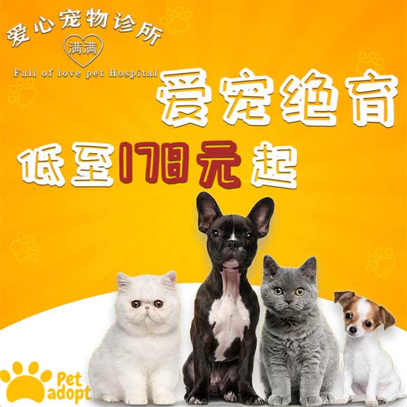 满满爱心宠物诊所:上海城区杨浦区新江湾城附近