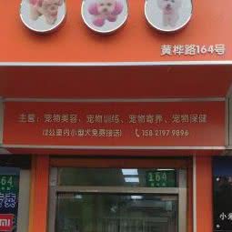 萌宠宝贝:上海城区闵行区龙柏地区附近