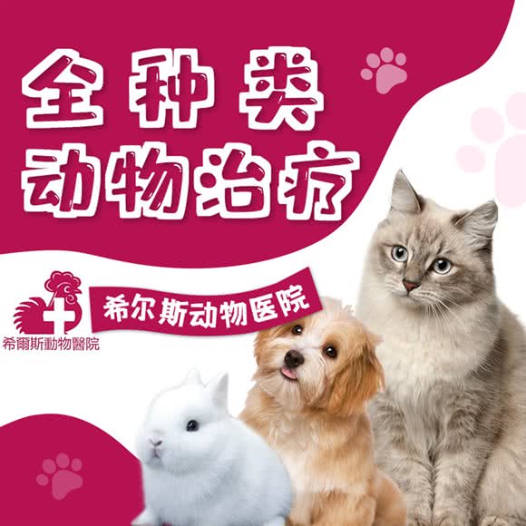 希尔斯动物医院:上海城区闵行区龙柏地区附近