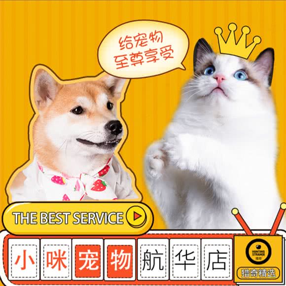 小咪宠物(航华店):上海城区闵行区虹桥镇附近