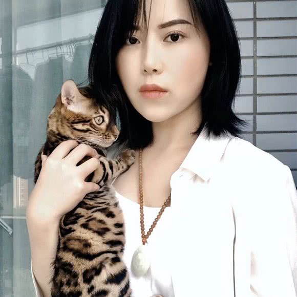 孟加拉豹猫寰宇猫舍:北京城区海淀区牡丹园/北太平庄附近