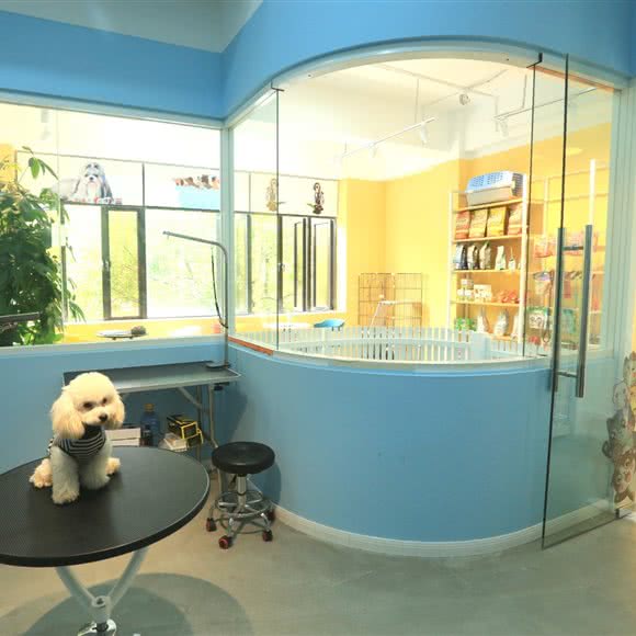 吖咪宠物生活馆:上海城区闵行区虹桥镇附近