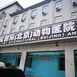 北京中宠国际动物医院:北京城区海淀区牡丹园/北太平庄附近