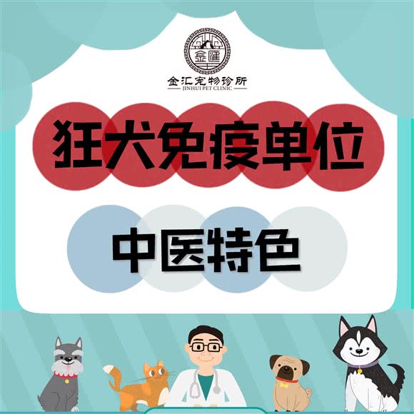 金汇狗狗诊所:上海城区闵行区虹桥镇附近