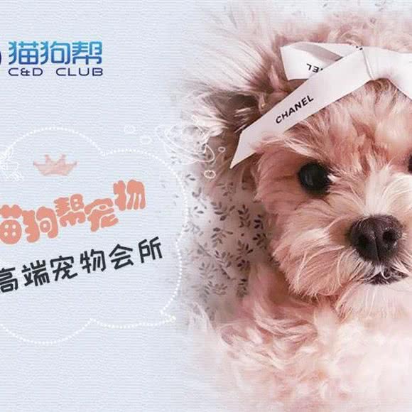 猫狗帮购宠连锁(虹桥中心店):上海城区闵行区虹桥枢纽附近