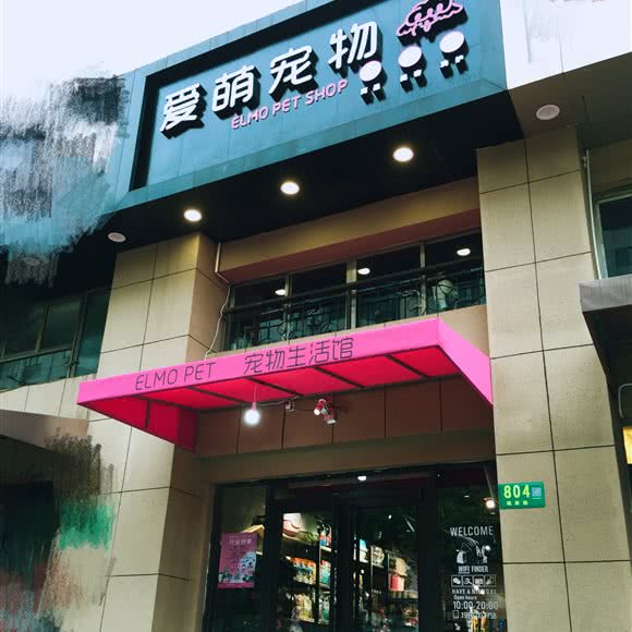 elmo pet 爱萌宠物:上海城区闵行区莘庄附近