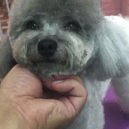 wo宠wo爱宠物店:北京城区西城区牛街附近