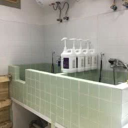 甜心宠物:上海城区闵行区莘庄附近