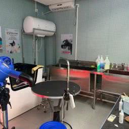 派多格宠物(沁春路店):上海城区闵行区莘庄附近