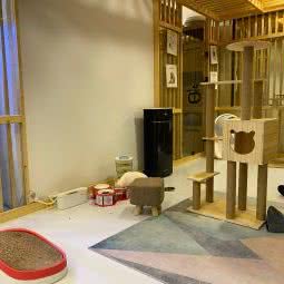 时光村落—猫咖咪体验馆(仲盛世界商城店):上海城区闵行区莘庄附近