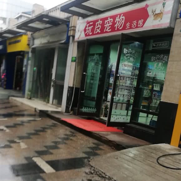 玩皮宠物生活馆:上海城区闵行区莘庄附近