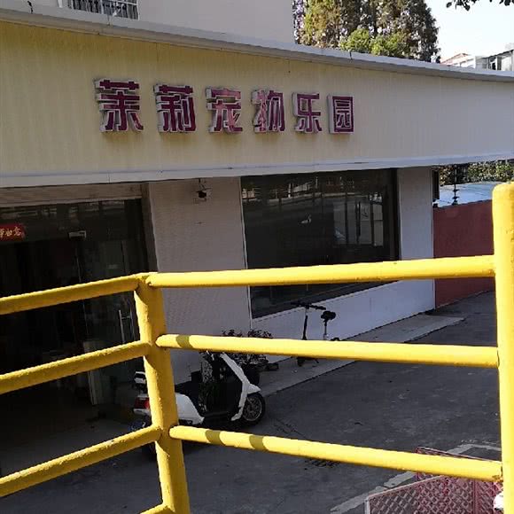 茉莉宠物乐园:上海城区闵行区莘庄附近