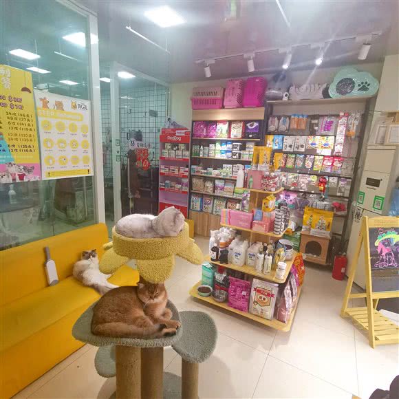 萌宠精灵宠物生活馆(莘朱路店):上海城区闵行区莘庄附近