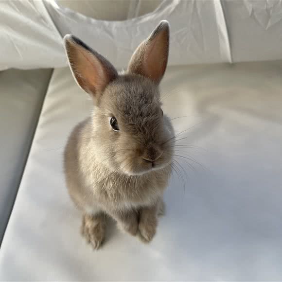 阿卡的的杂货铺:北京城区海淀区紫竹桥附近