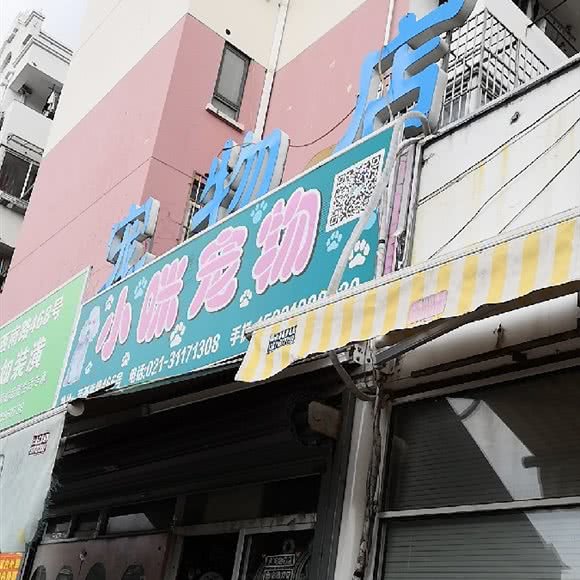 小咪宠物(莘庄店):上海城区闵行区莘庄附近