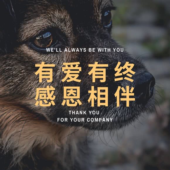 渡恩德宠物殡葬火化服务(闵行店):上海城区闵行区莘庄附近