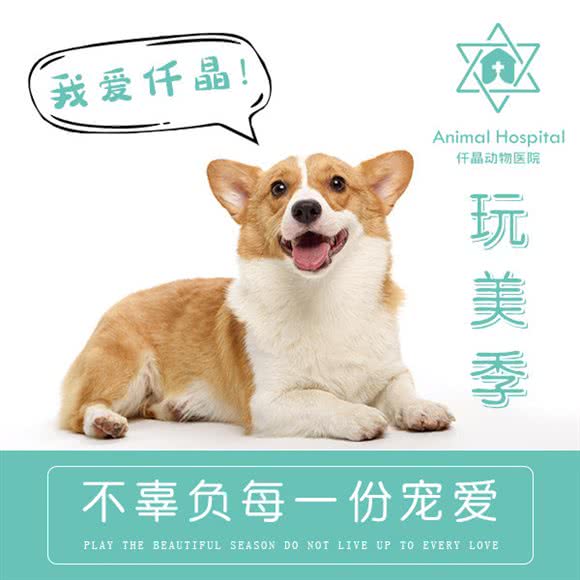 仟晶动物医院:上海城区闵行区莘庄附近