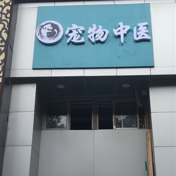 宠物中医学:上海城区闵行区莘庄附近