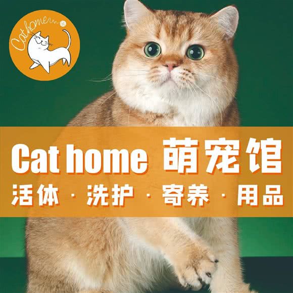 Cat Home萌宠主题馆(宝龙城店):上海城区闵行区七宝附近