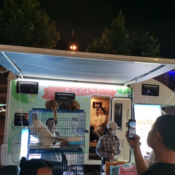 淘宠时代:上海城区闵行区七宝附近