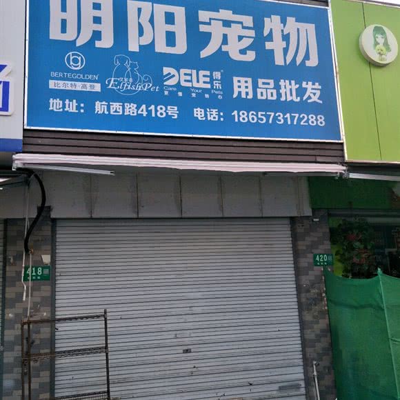 明阳宠物:上海城区闵行区七宝附近